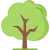 arbol.png