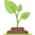 sprout.png